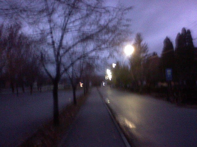 DSC00155.JPG, 45 KB