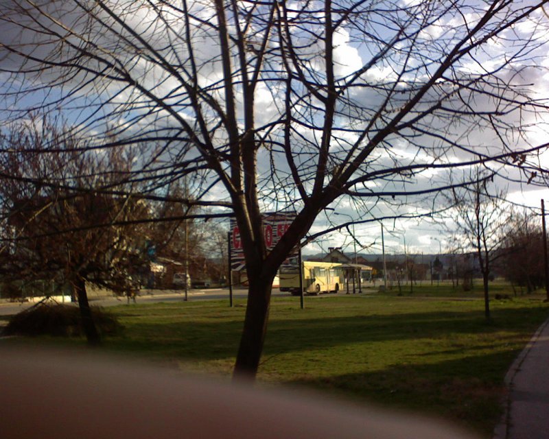 DSC00214.JPG, 252 KB